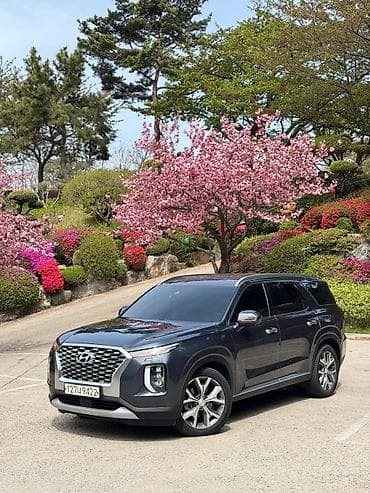енкар авто: Hyundai Palisade: 2020 г., 2.2 л, Автомат, Дизель, Кроссовер — 1