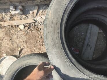 шины б у из европы оптом: Шины — 1