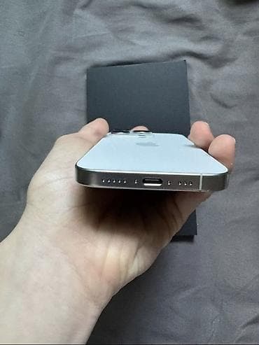 mate 20: IPhone 16 Pro, Б/у, 256 ГБ, White Titanium, Зарядное устройство, Защитное стекло, Чехол, 98 % — 5