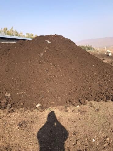 семена эспорсет: Перегной (кык) — 1