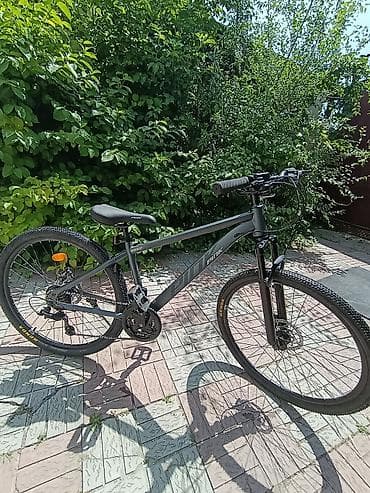 speedone frame: Горный велосипед, Рама XL (180 - 195 см), Сталь, Новый — 1