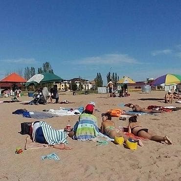 studio apartment: Светлая студия с отдельной спальней и кухней - Планировка: комната с — 6