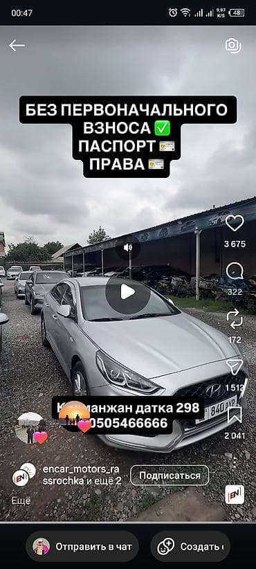 Животные: Породистые голуби, разноцветные масти. - Разные окрасы: черные — 3