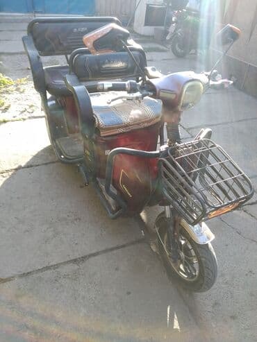 Мото трёх местный