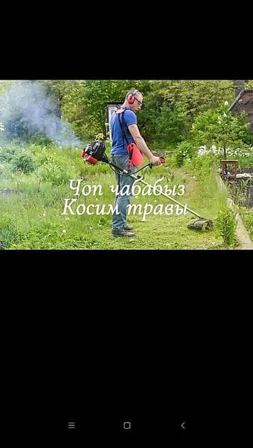 обрезка дерева: Уборка территории, Стрижка газона — 1