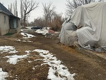 земля сокулуке: 5 соток, Красная книга — 4