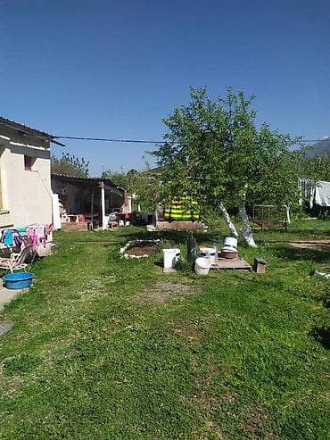 пол дома: 8 соток — 5