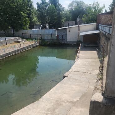 жер участок ак ордо: Үй, 220 м², 7 бөлмө, Менчик ээси, Евро оңдоо — 6