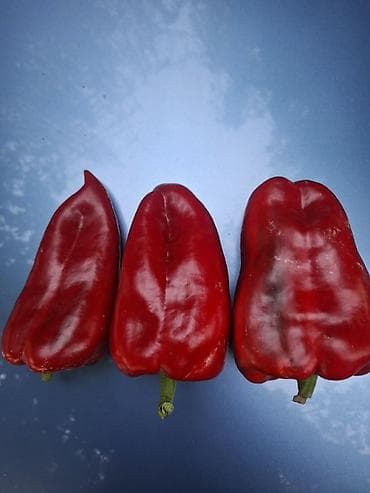 помидоры чери: Перец Сладкий, Оптом — 1