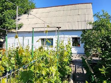 продаю фермы: Дом с приусадебным участком и виноградником. - Один этаж + высокий — 3