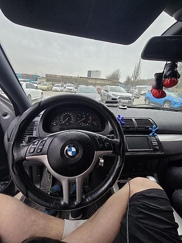 BMW X5: 2003 г., 3 л, Автомат, Дизель, Кроссовер — 10