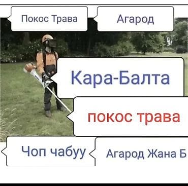 покос газона: Уборка территории, Стрижка газона — 1