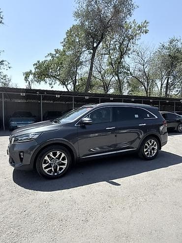 Kia Sorento: 2019 г., 2 л, Автомат, Дизель, Кроссовер — 5