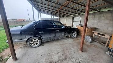 решетка бмв е34: BMW 5 series: 1988 г., 2 л, Седан — 2