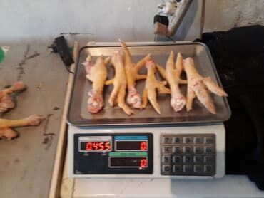 кошка домик: Продаю куриные бройлерные головы и лапки!!!Находится Беловодске — 1