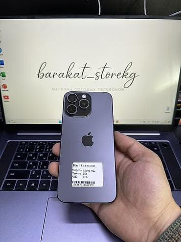 дисплей на x: IPhone 15 Pro Max, 256 ГБ, Black Titanium, Кабель, 91 % — 1