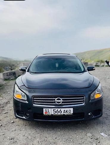 maxima j30: Nissan Maxima: 2010 г., 3.5 л, Автомат, Бензин, Седан — 2