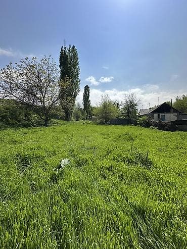 участо: 7 соток, Курулуш — 2