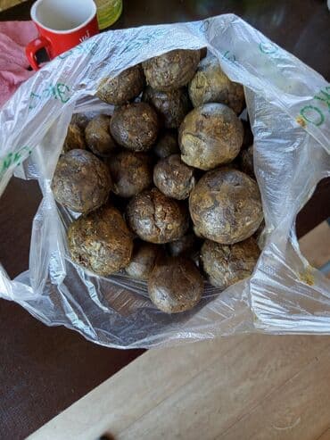 Медтовары: Продается прополис — 1