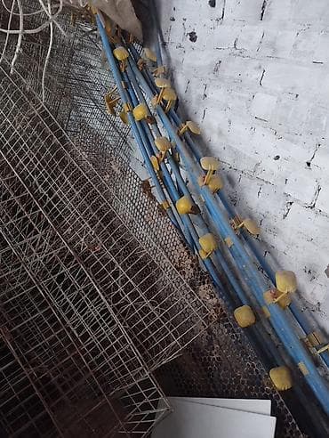 куры клетка: Клеточные батареи для птицы + система ниппельного поения Описание: - — 2