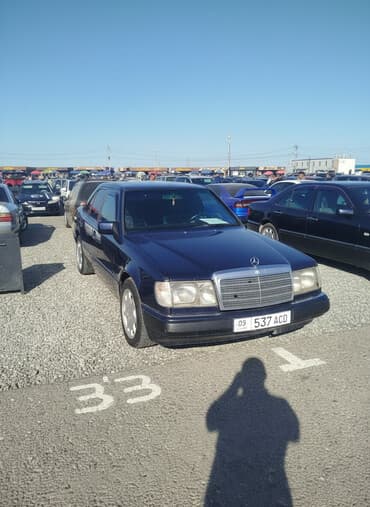 Mercedes-Benz W124: 1993 г., 2 л, Автомат, Бензин, Седан