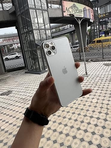 белый шум: IPhone 11 Pro Max, 64 ГБ, Серебристый — 5