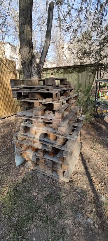 Дрова Самовывоз at lalafo.kg Дрова Самовывоз