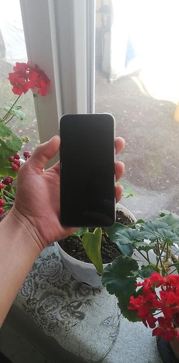 IPhone X, 256 ГБ, 100 %