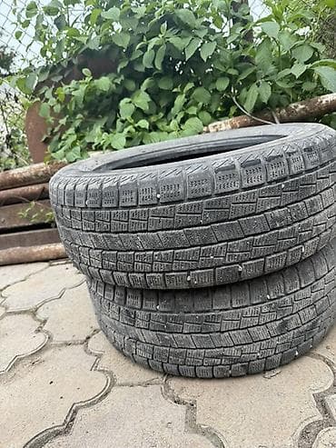 Шины 195 / 60 / R 15, Зима, Пара, Легковые, Goform
