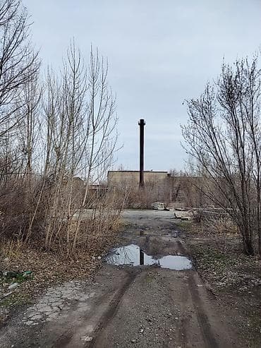 Жер тилкелери: 100 соток, Курулуш, Техпаспорт, Сатып алуу-сатуу келишими, Кызыл китеп — 2