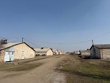 в селе манас: 800 соток, Для сельского хозяйства — 9