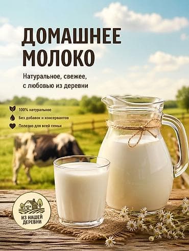 o store: Домашнее молоко 🥛 Коровы все здоровые имеются справки от ветеринара — 1