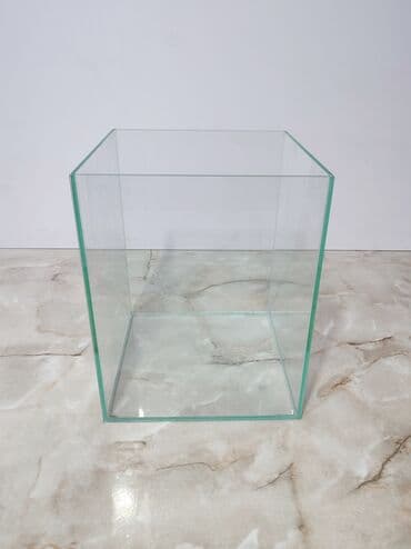 аквариумная рыбка: Прямоугольные — 13