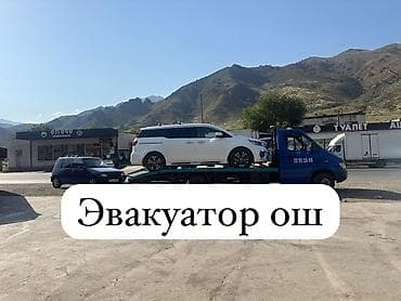 С лебедкой