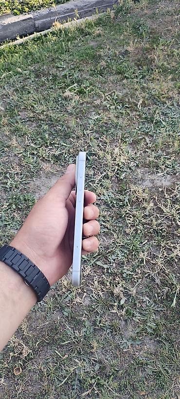 iphone s: IPhone 17 Pro Max, Б/у, 256 ГБ, Белый, Коробка, 99 % — 6