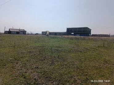 продаю дом участок село достук конечная 7 автобус: Продаю Птицеферма, 10000 соток, Электричество — 5