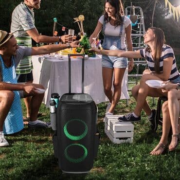 микрофоны караоке: Колонка. Аренда JBL(USA) 240W, Bluetooth. Аренда микрофона(2шт) — 16