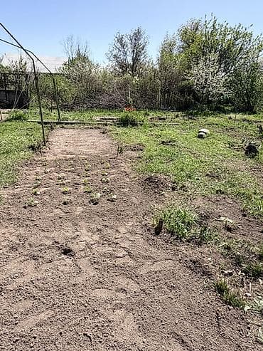 сдаю место ош базар: Срочно продается Дача с кирпичным домиком и участком в дачном поселке — 10