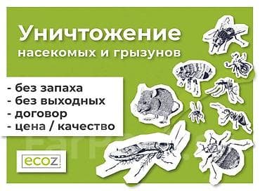 паразитекс неман цена: Дезинфекция, дезинсекция, | Муравьи, Блохи, Вирусы, микробы, | Дома, Квартиры, Подвал, погреб — 9