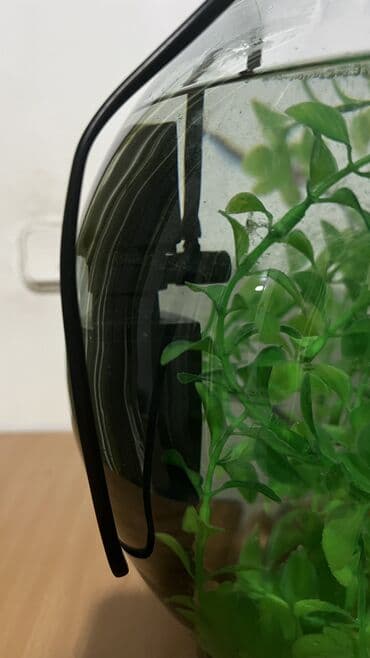 свежая рыб: Аквариум 20 литр готовый 
Филтр, декор трава, балыгы менен — 3