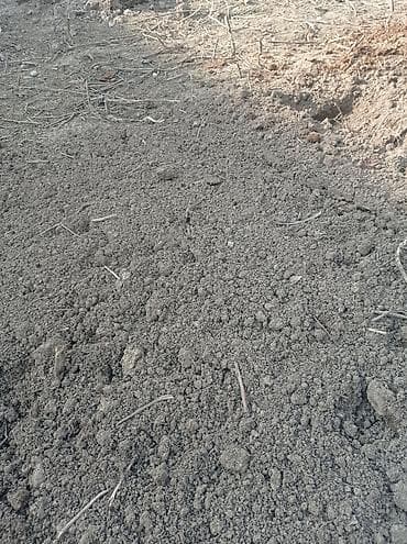 бетон талас: Мотоблок-гусеничный с фрезой для обработки почвы - Тип — 1