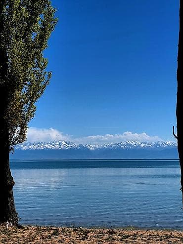 комната аламедин 1: 100 соток, Курулуш, Сатып алуу-сатуу келишими — 10