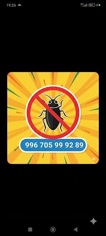 обработка от блох: Делить кухню с непрошенными гостями! 🪳🚫 ​Надоело включать свет и — 1