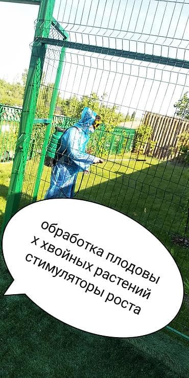 Комнатные растения: Профессиональная обработка сада и хвойных насаждений - Комплексная — 1