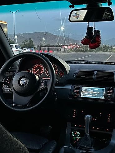 сп: BMW X5: 2004 г., 4.4 л, Автомат, Бензин, Кроссовер — 10