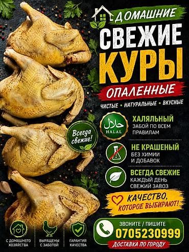 Домашние потрошёные куры (тушка целиком) Опаленная Мы не красим 100%