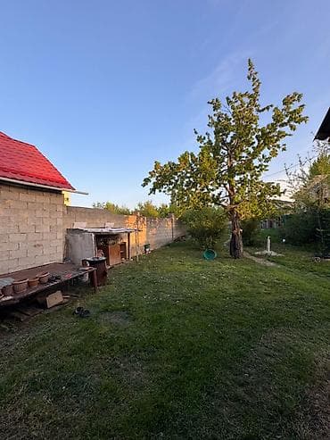 Жер тилкелери: 4 соток, Курулуш, Кызыл китеп, Техпаспорт — 3
