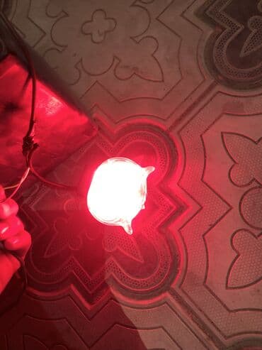 противотуманные фары бишкек: Сова пара 600 сом горит белый желтый красный синий — 5