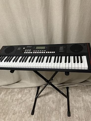 Синтезаторы: Синтезатор/аранжировщик Roland E-X10 с X-образной стойкой. Основные — 1