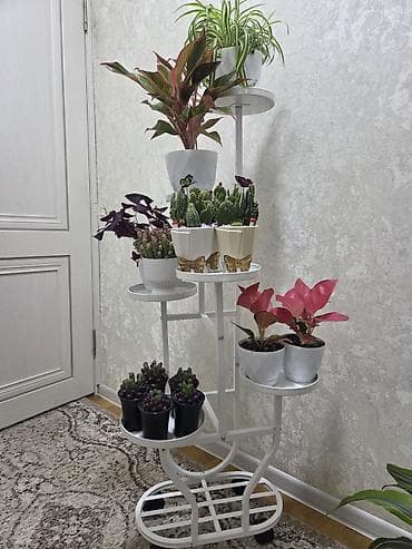 Полка, этажерка для цветов, Новый, Железо, Самовывоз